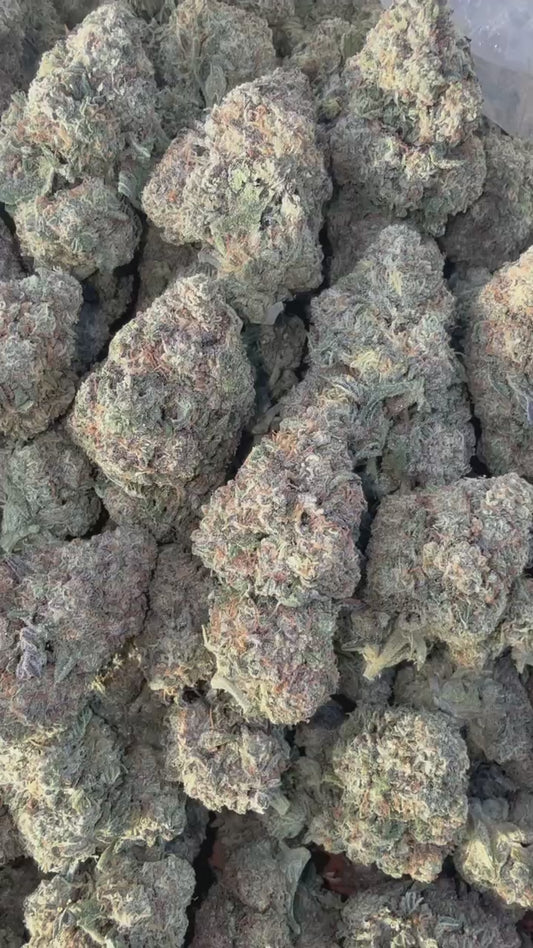 6.Lantsrace Purple(Hybrid)*Exotic#2($100.oz)(1/2.$60)(10G's.$55)(1/4.$50)(5G's.$45)(1/8.$30)
