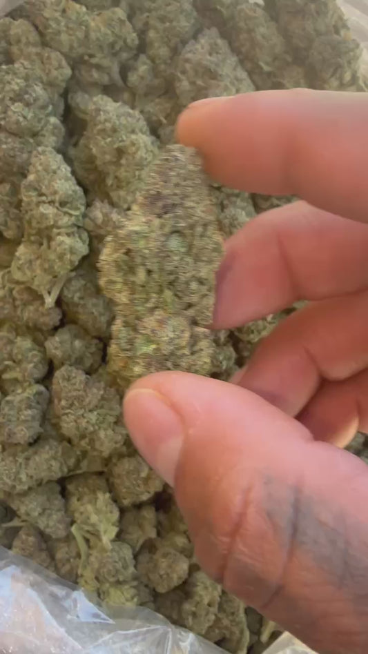911.Mr.Jack(Sativa)Top Shelf (oz.$70)(1/2.$40)(Qp.$180)