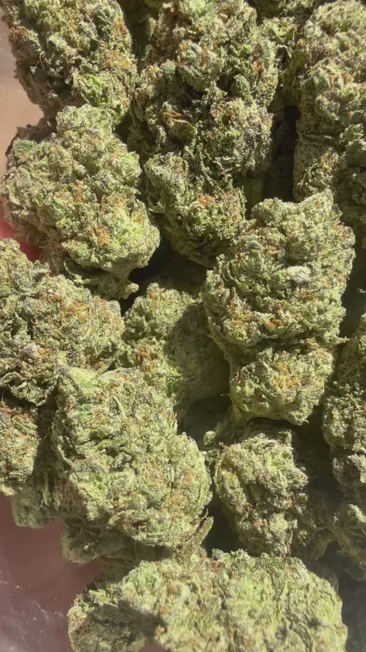 5.Millionaire(Sativa)**Exotic#2($100.oz)(1/2.$60)(10G's.$55)(1/4.$50)(5G's.$45)(1/8.$30)