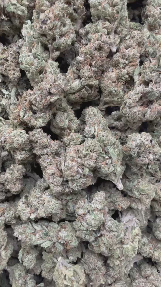 912.Lemon Melons(Hybrid)Top Shelf (oz.$70)(1/2.$40)(Qp.$180)