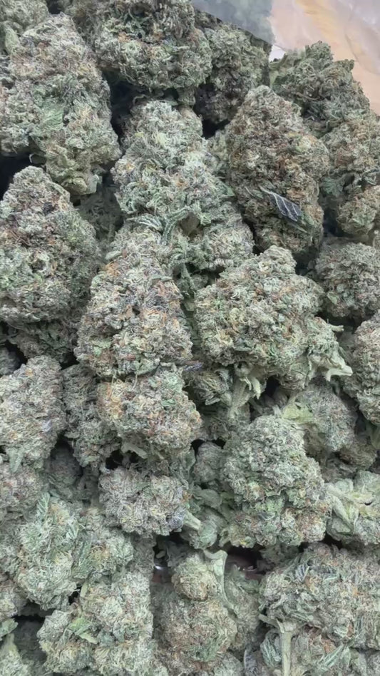 9.Solar Thizzle OG(Hybrid)Private Reserve(oz.$80)(1/2.$50)(Qp.$200)